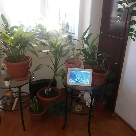 Apartment Da Emma