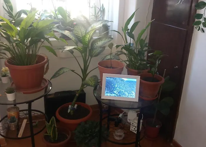 Апартаменты Da Emma